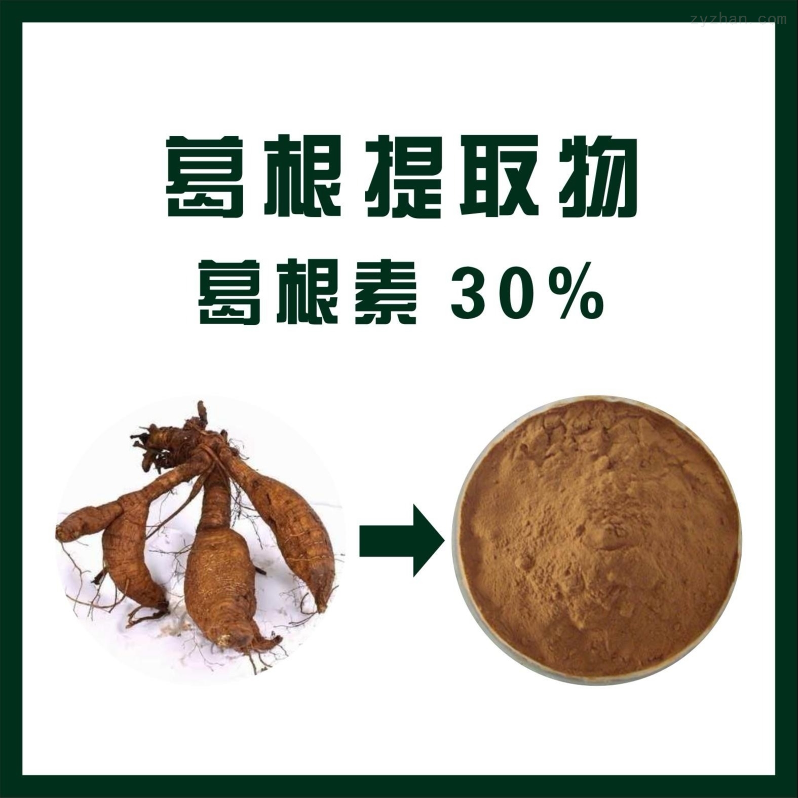 葛根提取物 葛根素