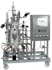 全自動(dòng)中試發(fā)酵罐 30L-200L